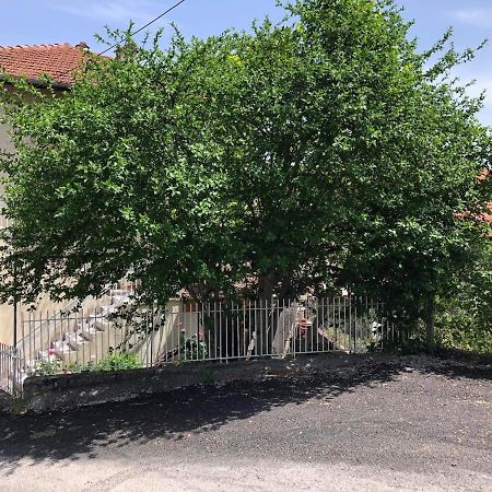 Melina'S Casa Daire Litóchoron Dış mekan fotoğraf