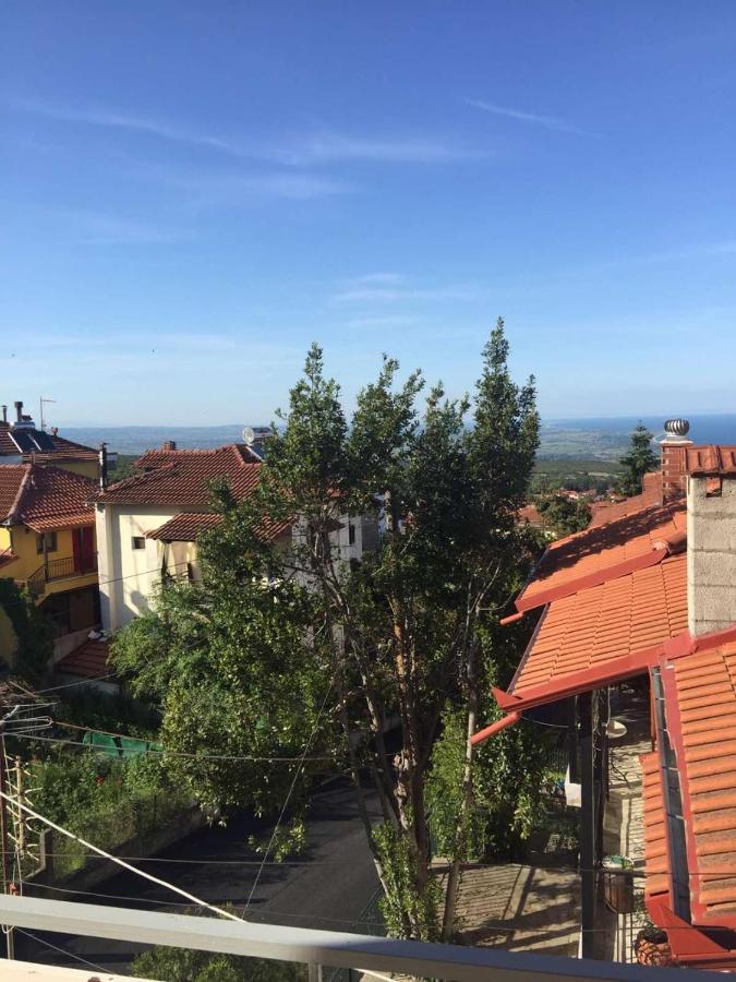 Melina'S Casa Daire Litóchoron Dış mekan fotoğraf